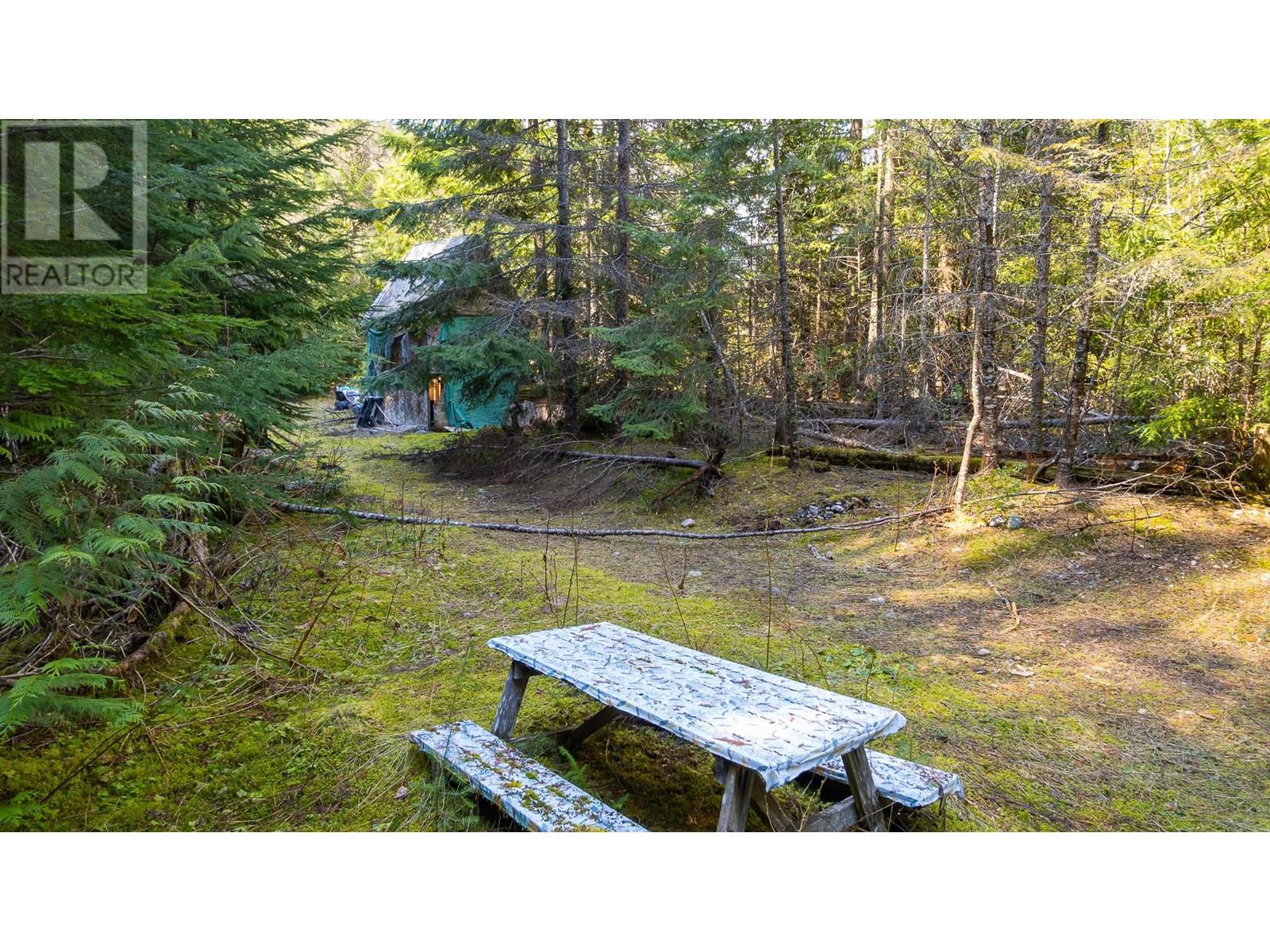 Dl 10612 3 Highway, Salmo, British Columbia  V0G 1Z0 - Photo 27 - 10344635