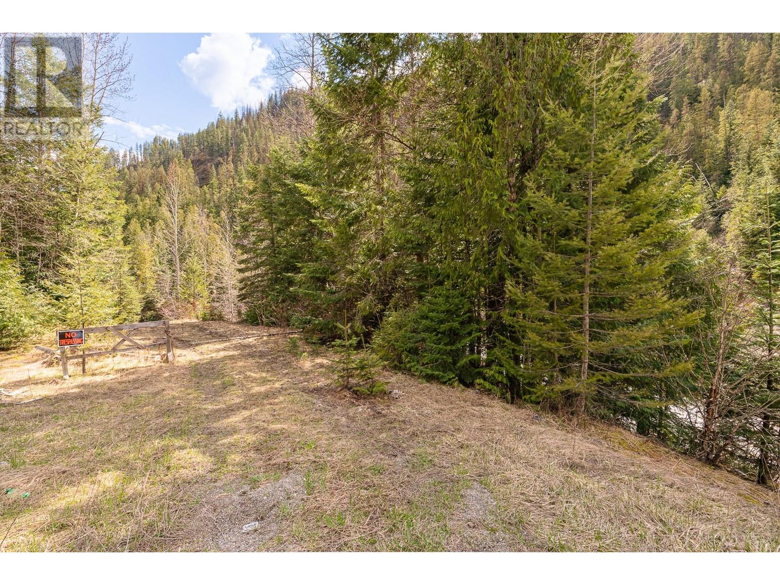 Dl 10612 3 Highway, Salmo, British Columbia  V0G 1Z0 - Photo 40 - 10344635