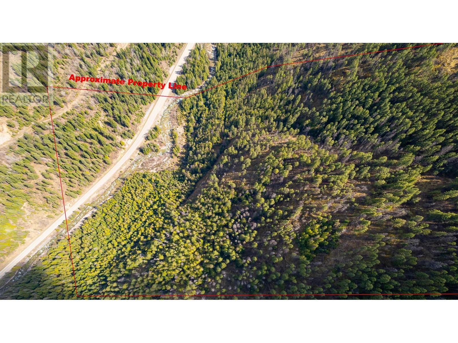 Dl 10612 3 Highway, Salmo, British Columbia  V0G 1Z0 - Photo 6 - 10344635