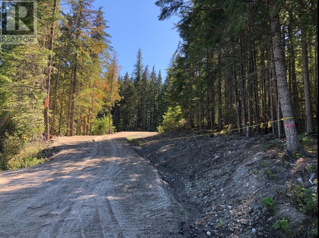 Lot 1 Brouse Loop Road, Nakusp, British Columbia  V0G 1R1 - Photo 1 - 10344673