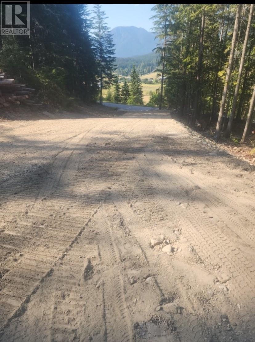 Lot 1 Brouse Loop Road, Nakusp, British Columbia  V0G 1R1 - Photo 2 - 10344673