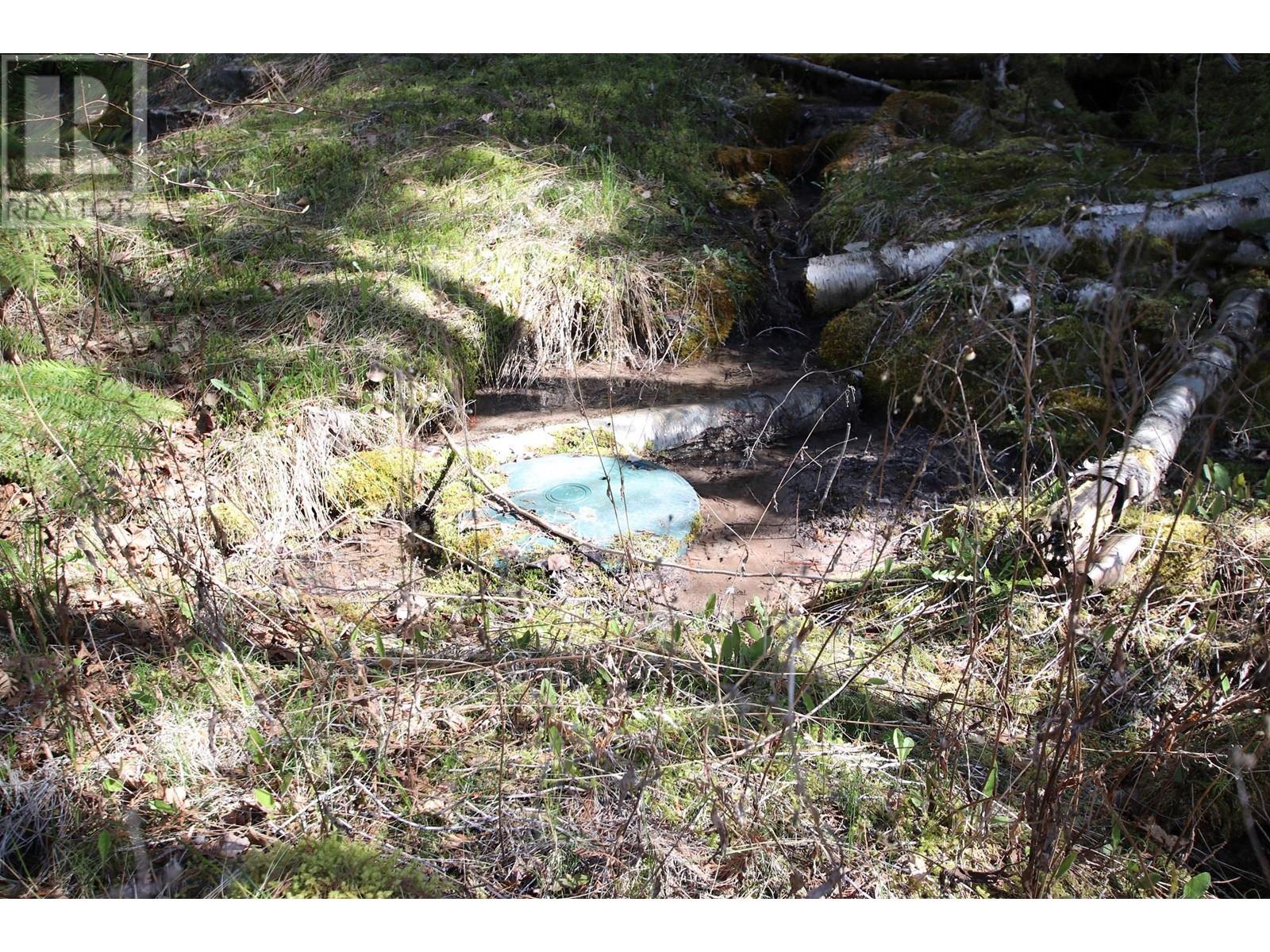 483 Bayview Road, Nakusp, British Columbia  V0G 1R1 - Photo 16 - 10344833