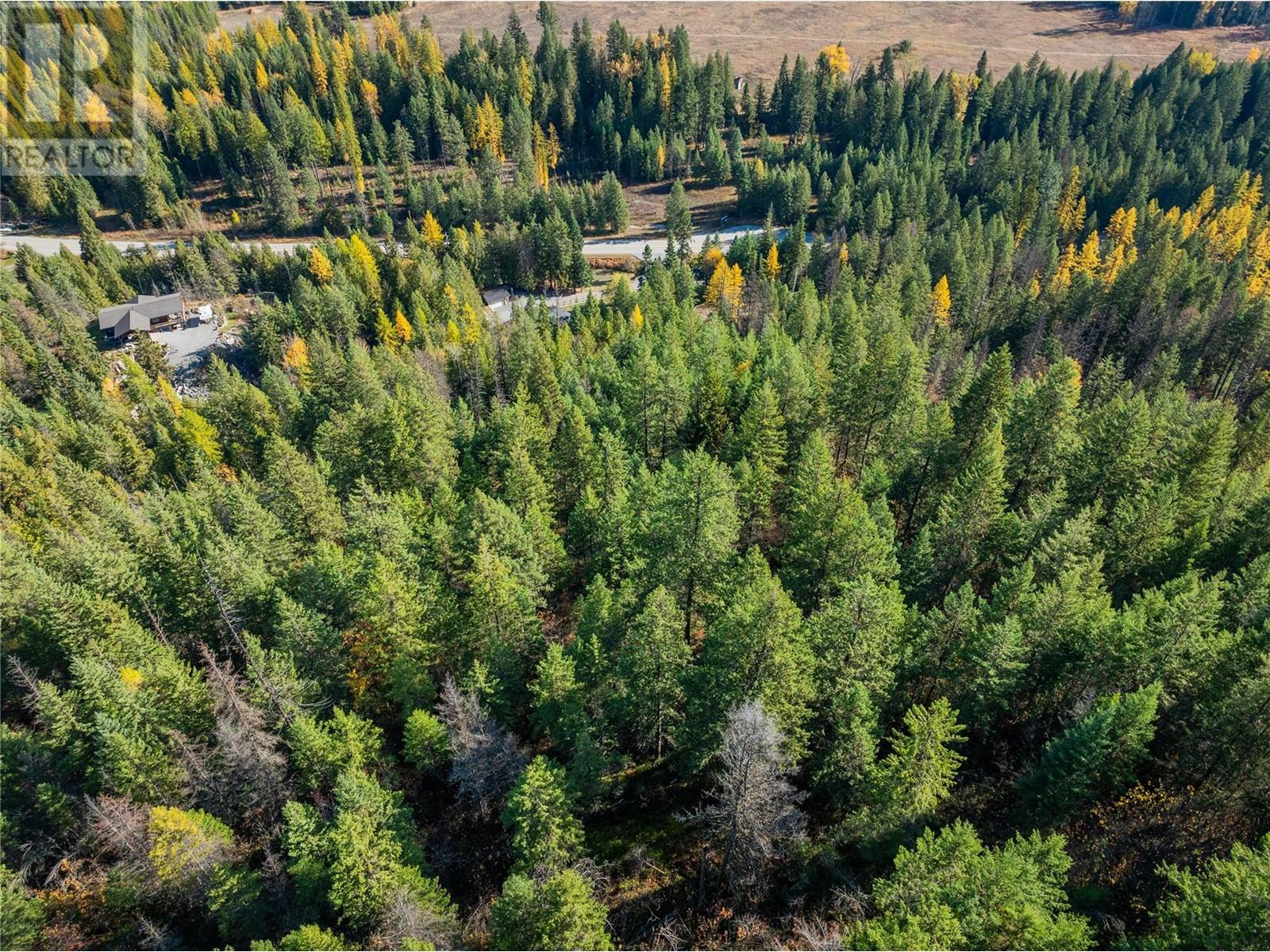 635 Highway 22 Highway, Rossland, British Columbia  V0G 1Y0 - Photo 78 - 10345176