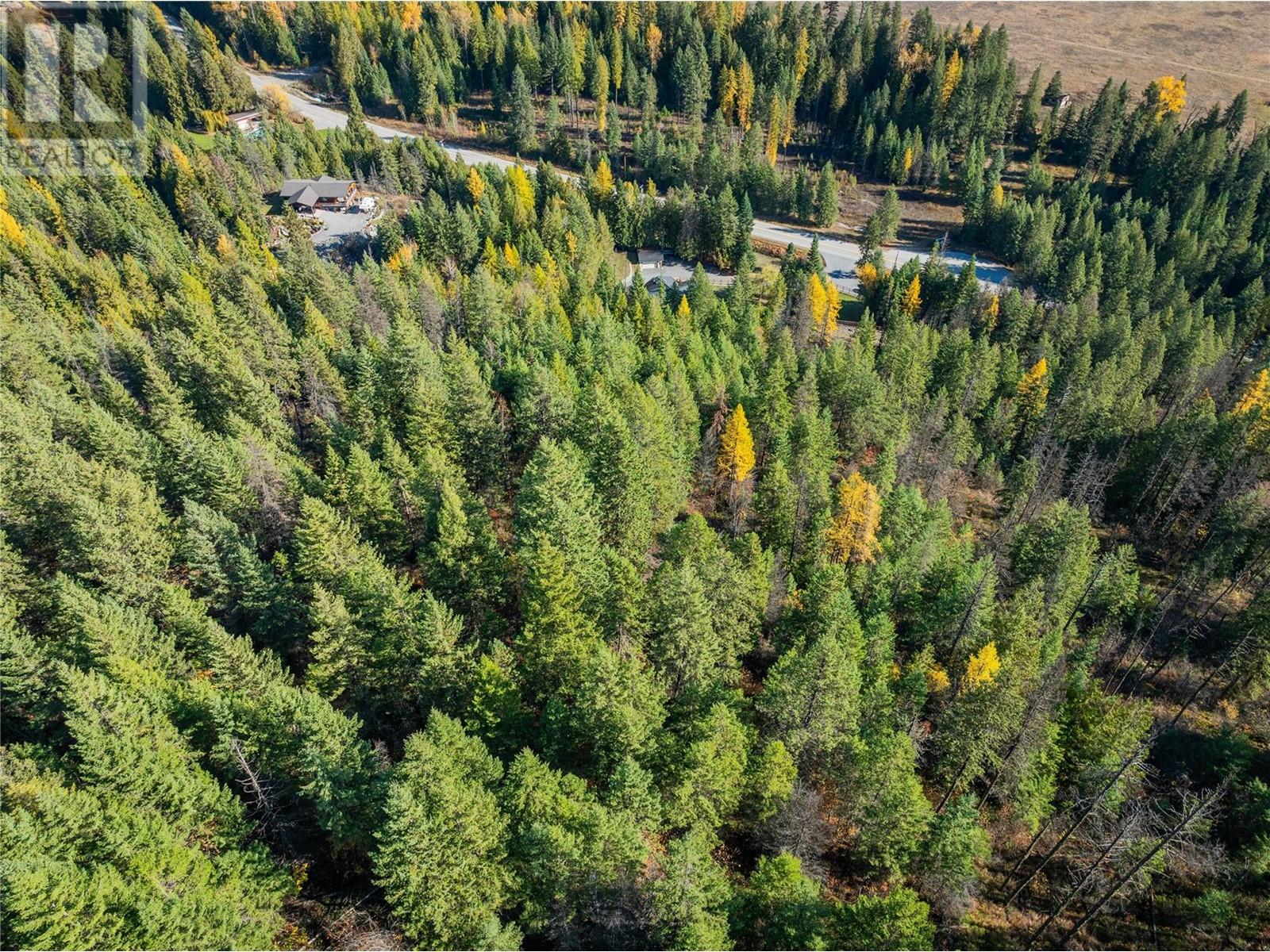 635 Highway 22 Highway, Rossland, British Columbia  V0G 1Y0 - Photo 79 - 10345176