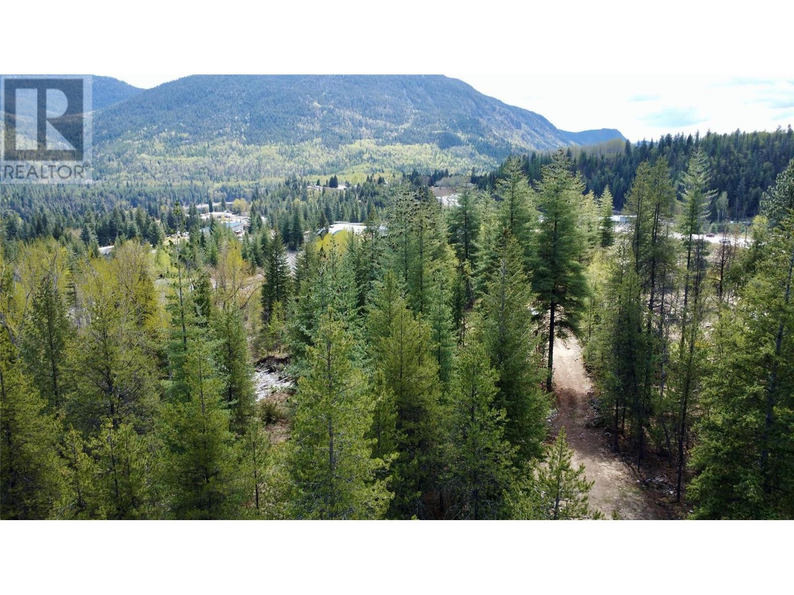 9100 Highway 22 Highway, Genelle, British Columbia  V0G 1G0 - Photo 6 - 10345343