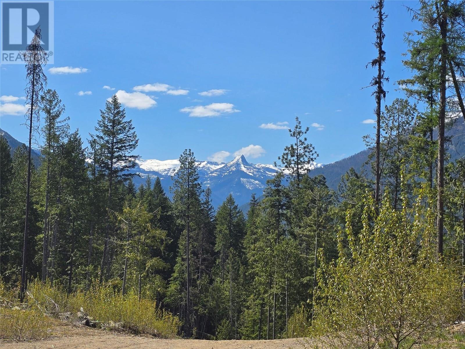 5396 6 Highway, Winlaw, British Columbia  V0G 2J0 - Photo 38 - 10344806