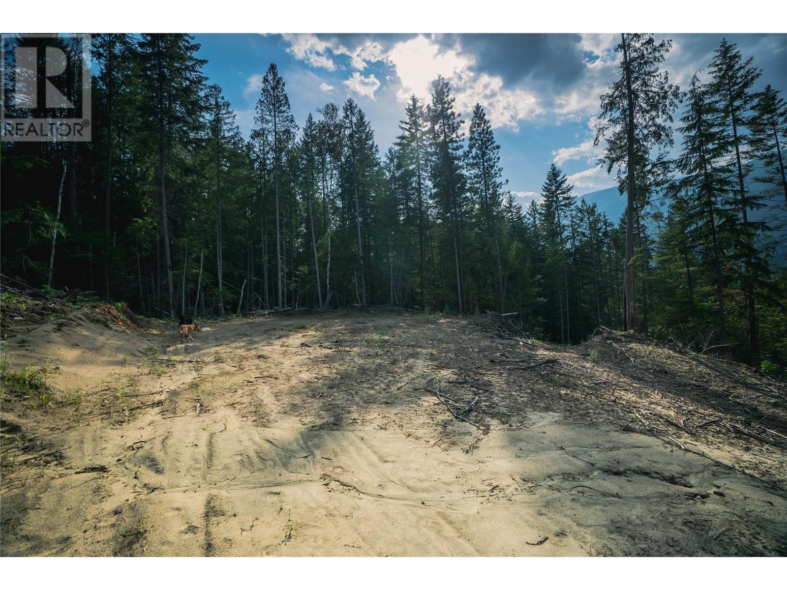 5396 6 Highway, Winlaw, British Columbia  V0G 2J0 - Photo 43 - 10344806
