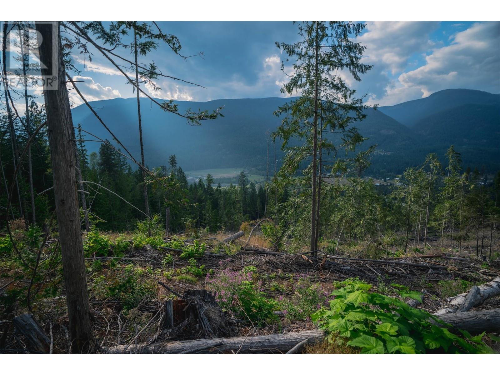 5396 6 Highway, Winlaw, British Columbia  V0G 2J0 - Photo 45 - 10344806