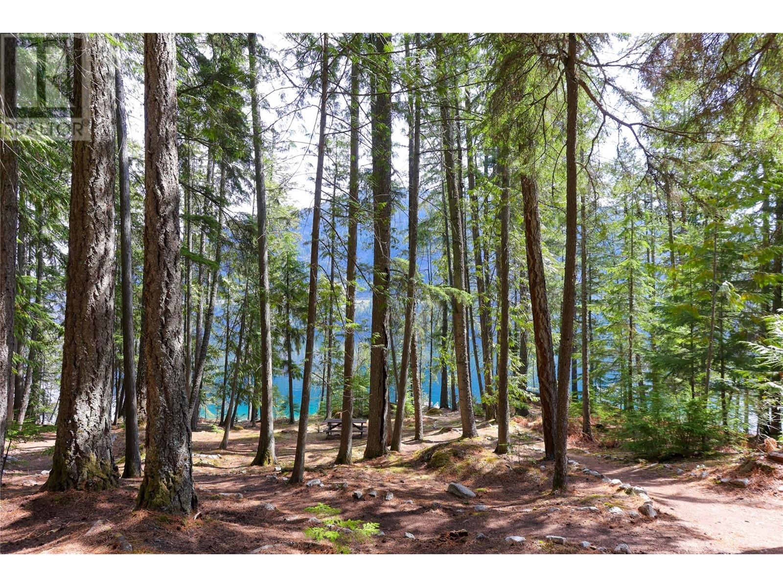 Lot 2 Slocan Lake Boat Access, Slocan, British Columbia  V0G 2C0 - Photo 3 - 10345196