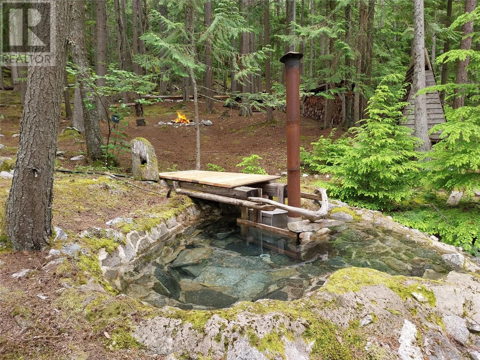 Lot 2 Slocan Lake Boat Access, Slocan, British Columbia  V0G 2C0 - Photo 35 - 10345196