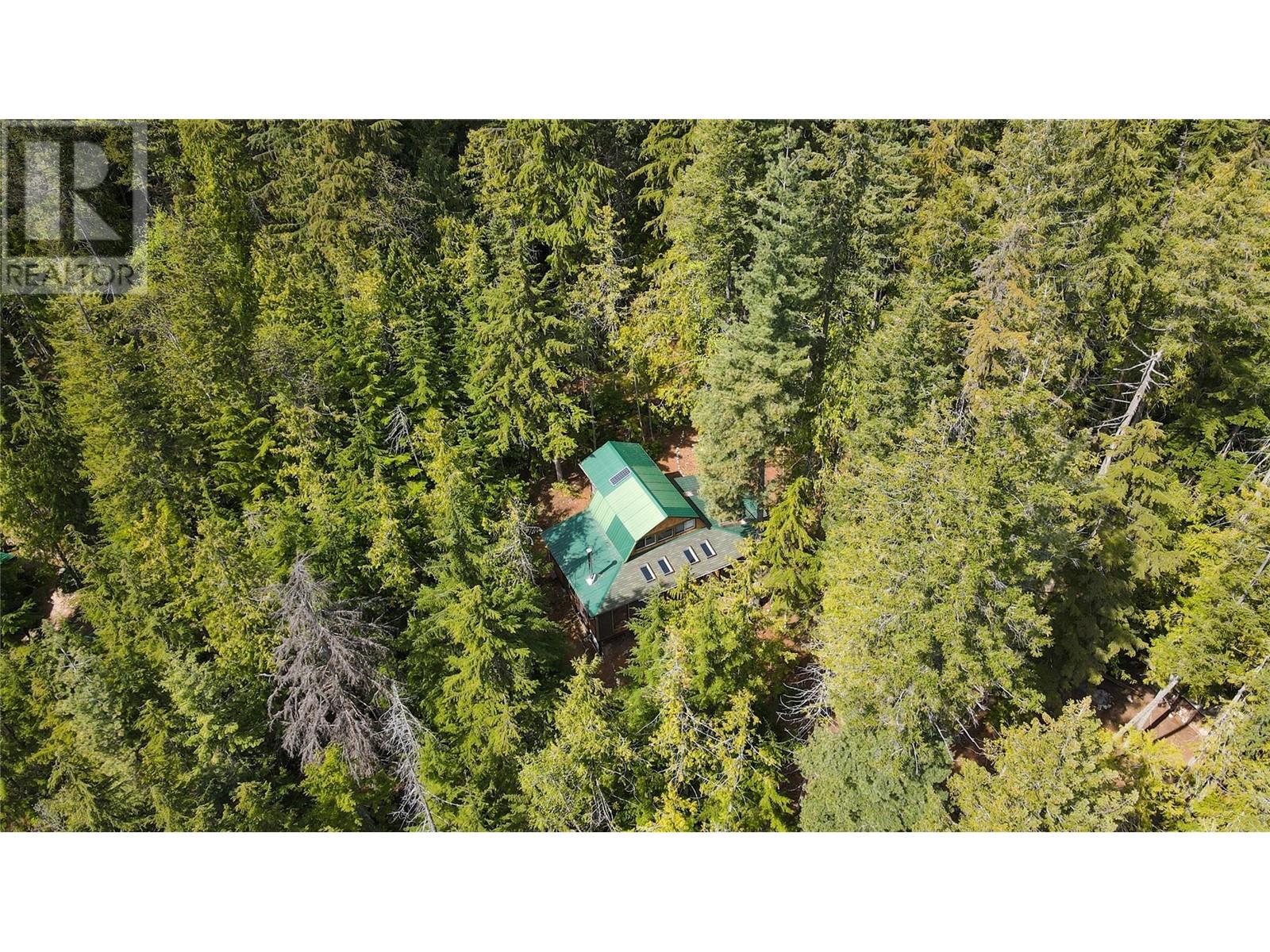 Lot 2 Slocan Lake Boat Access, Slocan, British Columbia  V0G 2C0 - Photo 46 - 10345196