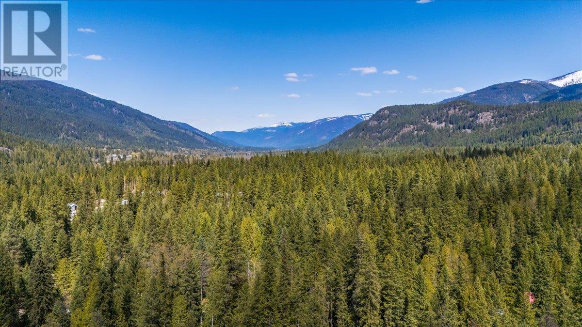 5626 Ducksway Road, Winlaw, British Columbia  V0G 2J0 - Photo 55 - 10345468