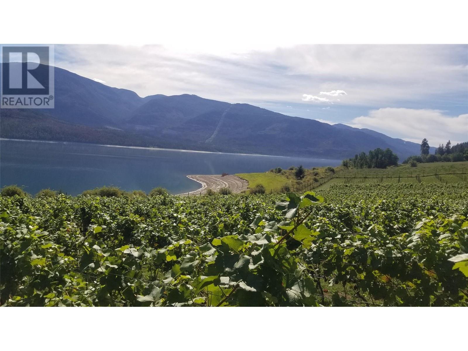 2 Lower Inonoaklin Road, Edgewood, British Columbia  V0G 1J0 - Photo 11 - 10344571