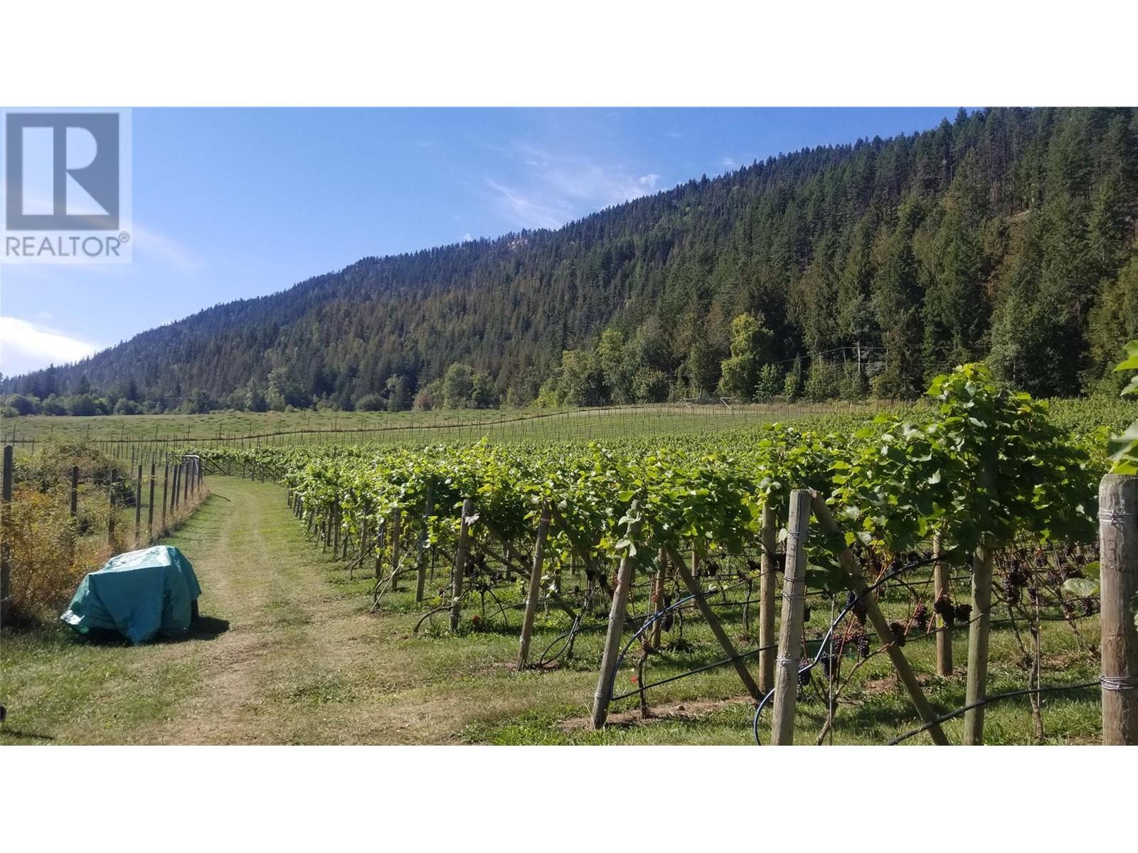 2 Lower Inonoaklin Road, Edgewood, British Columbia  V0G 1J0 - Photo 13 - 10344571