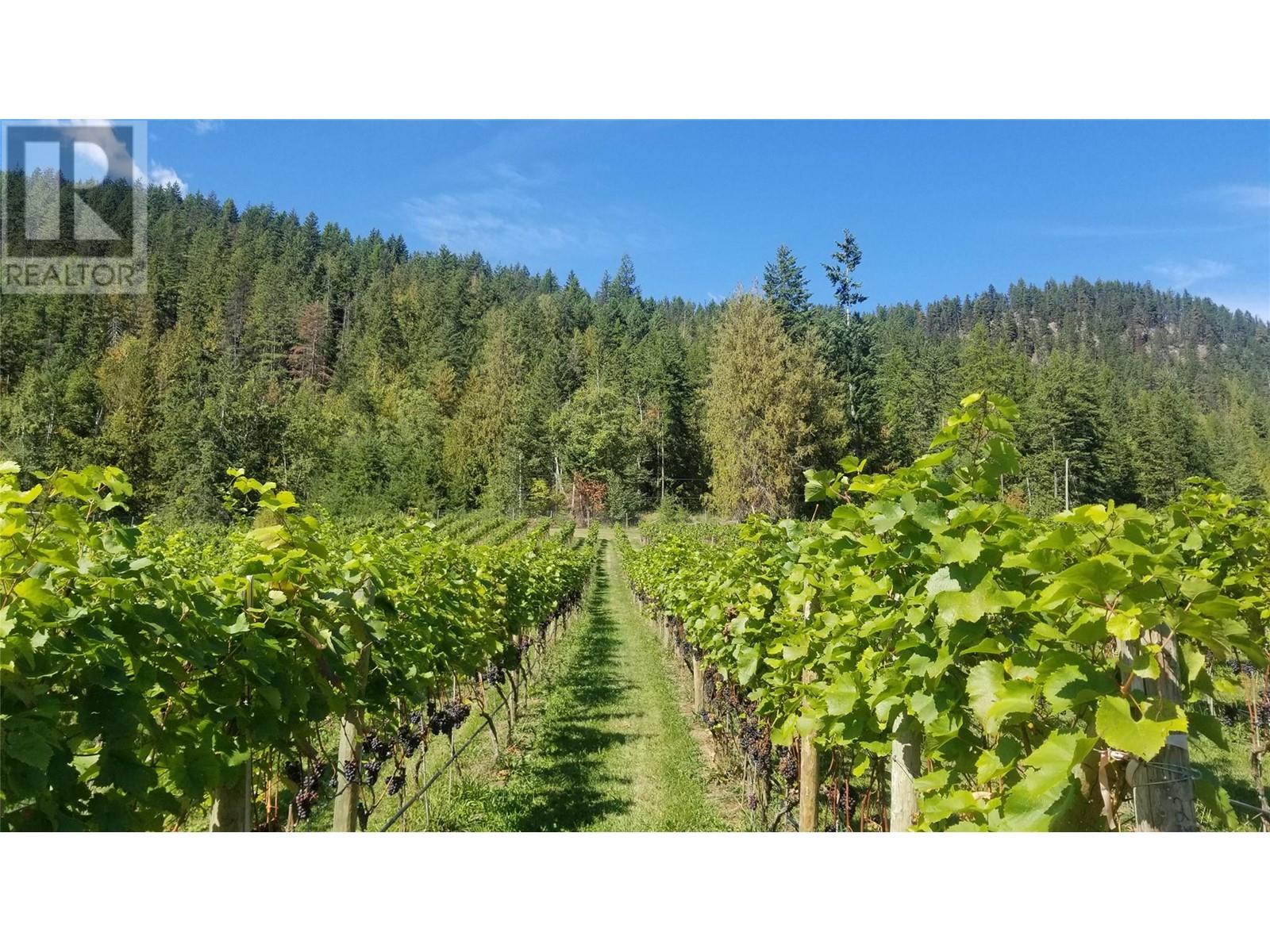 2 Lower Inonoaklin Road, Edgewood, British Columbia  V0G 1J0 - Photo 14 - 10344571
