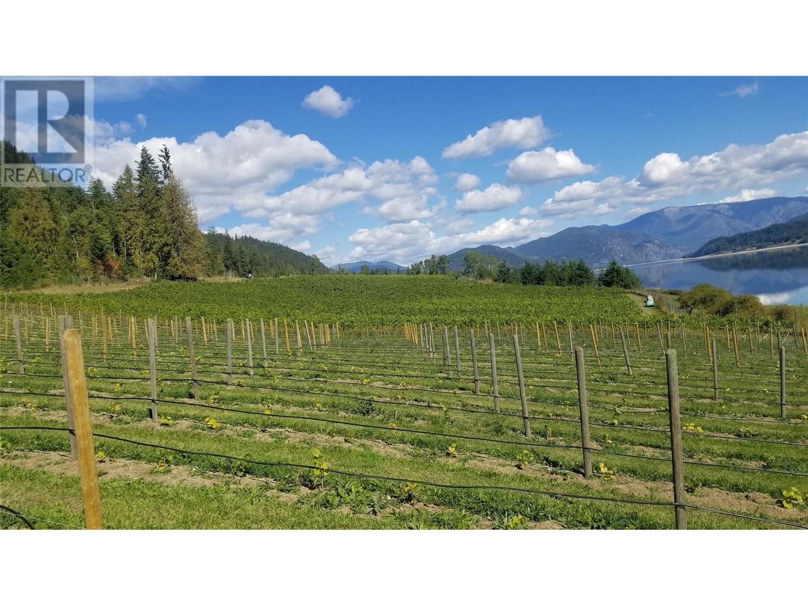 2 Lower Inonoaklin Road, Edgewood, British Columbia  V0G 1J0 - Photo 19 - 10344571
