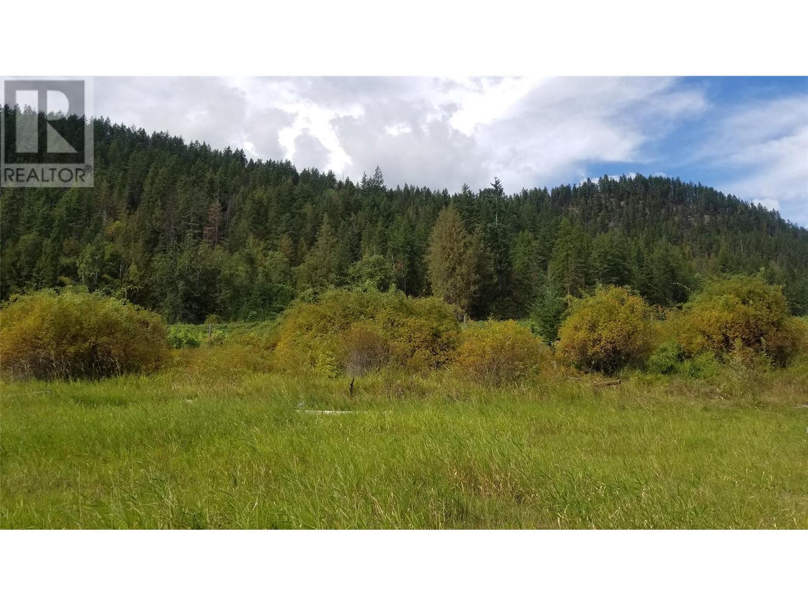 2 Lower Inonoaklin Road, Edgewood, British Columbia  V0G 1J0 - Photo 28 - 10344571