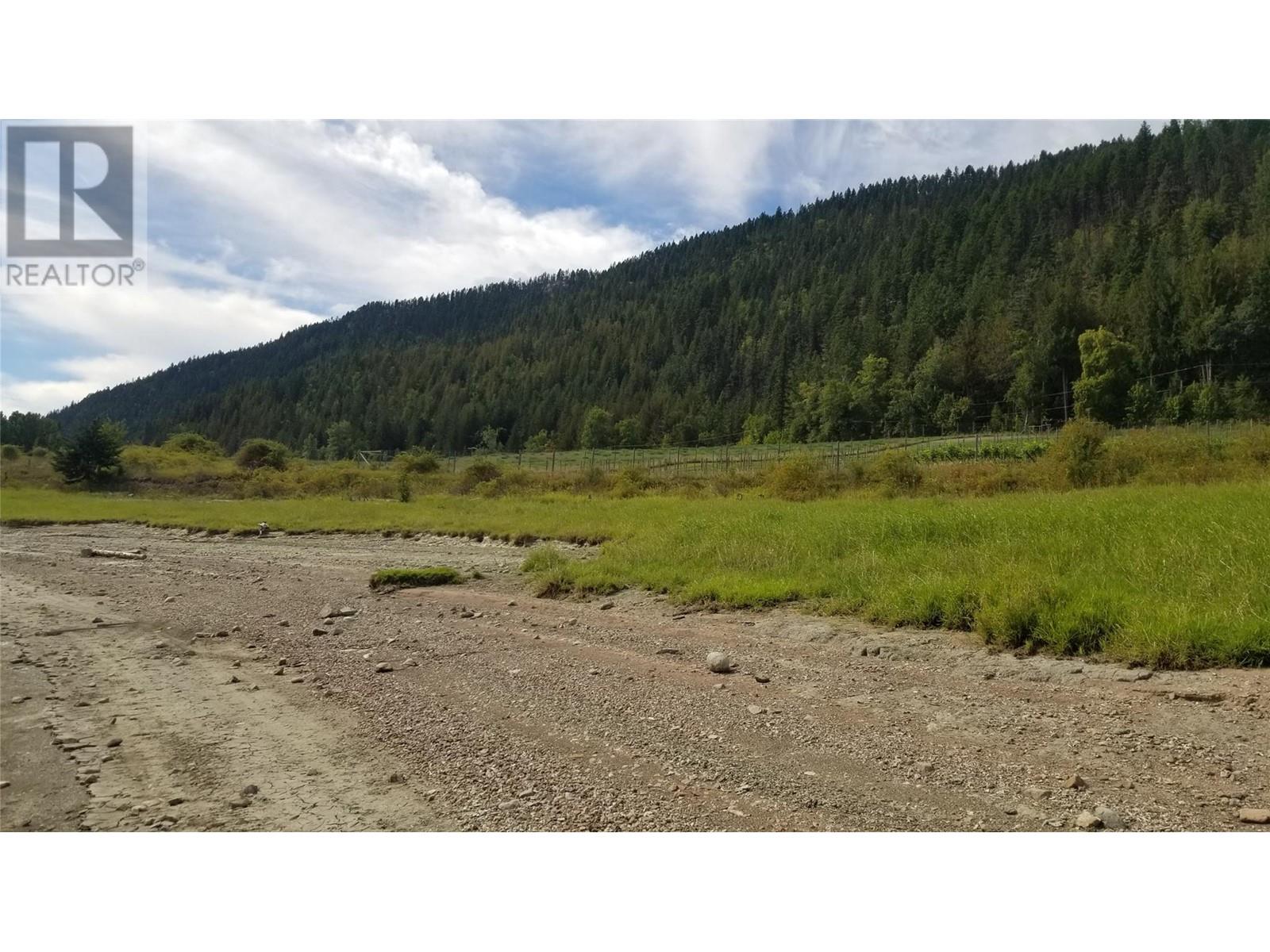 2 Lower Inonoaklin Road, Edgewood, British Columbia  V0G 1J0 - Photo 30 - 10344571