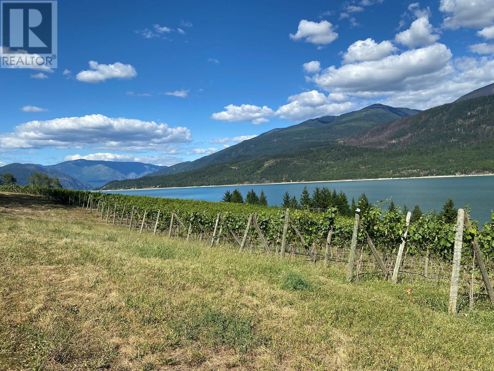 2 Lower Inonoaklin Road, Edgewood, British Columbia  V0G 1J0 - Photo 37 - 10344571