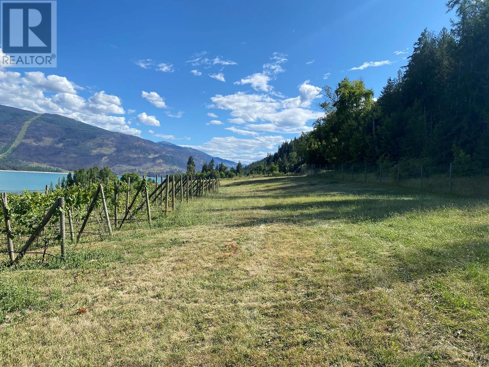 2 Lower Inonoaklin Road, Edgewood, British Columbia  V0G 1J0 - Photo 39 - 10344571