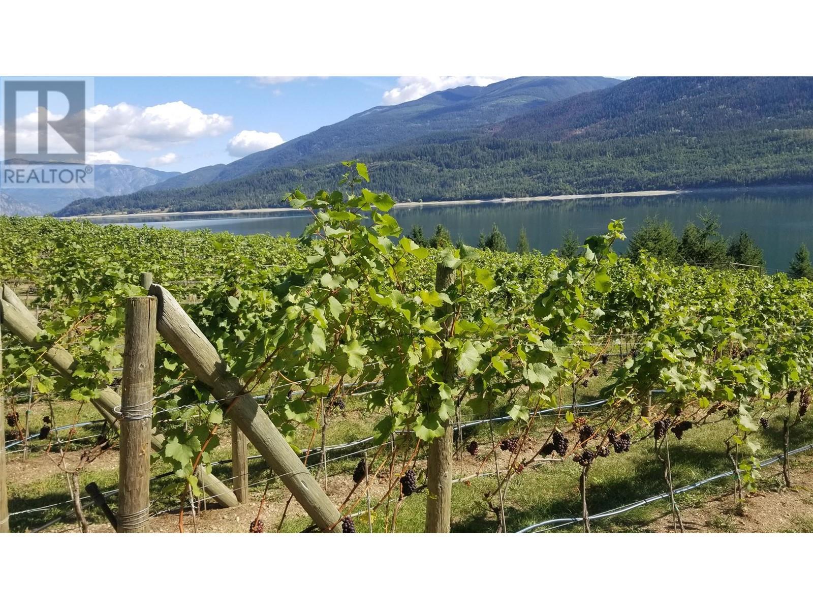 2 Lower Inonoaklin Road, Edgewood, British Columbia  V0G 1J0 - Photo 7 - 10344571
