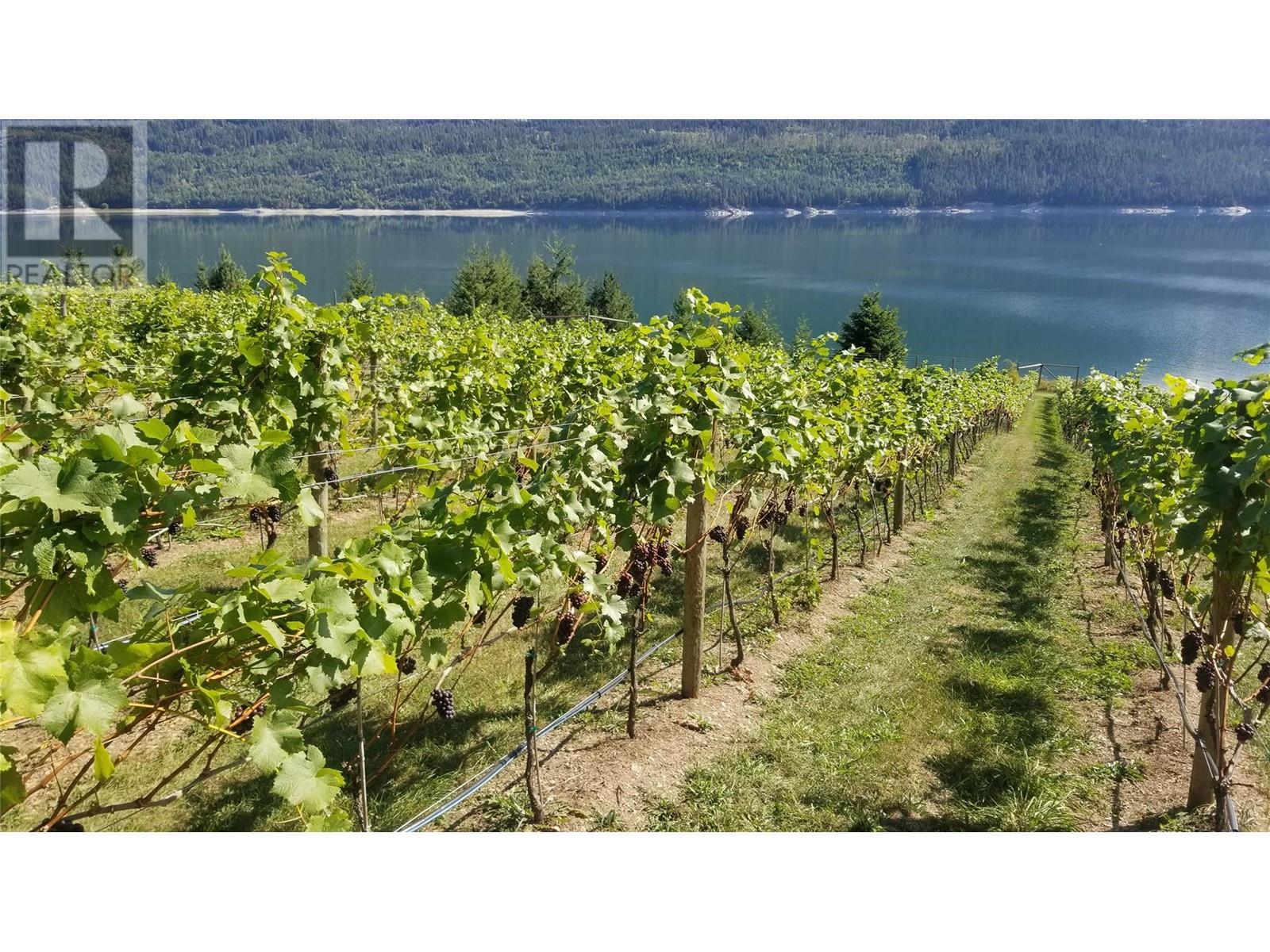 2 Lower Inonoaklin Road, Edgewood, British Columbia  V0G 1J0 - Photo 9 - 10344571