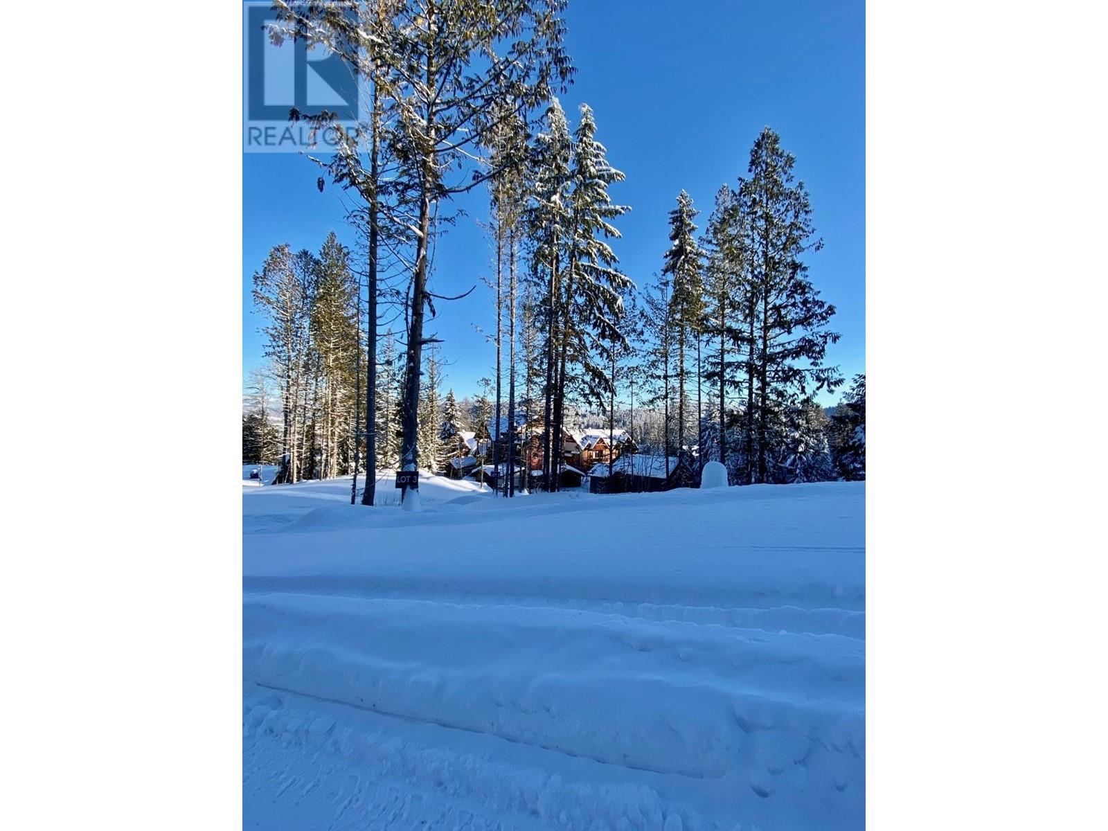 310 Ridge Road, Rossland, British Columbia  V0G 1Y0 - Photo 10 - 10346502