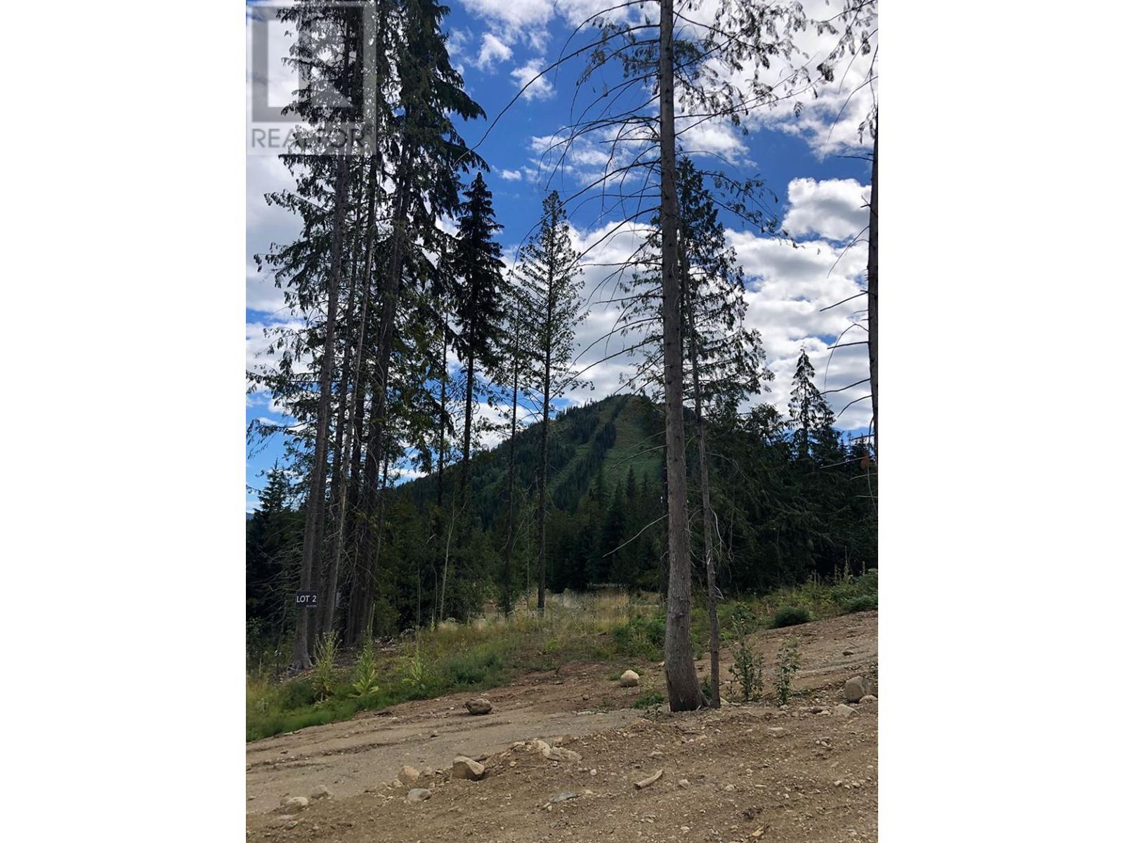 310 Ridge Road, Rossland, British Columbia  V0G 1Y0 - Photo 16 - 10346502