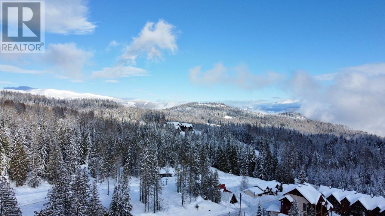 310 Ridge Road, Rossland, British Columbia  V0G 1Y0 - Photo 21 - 10346502