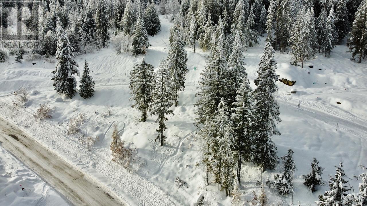 302 Ridge Road, Rossland, British Columbia  V0G 1Y0 - Photo 9 - 10346488