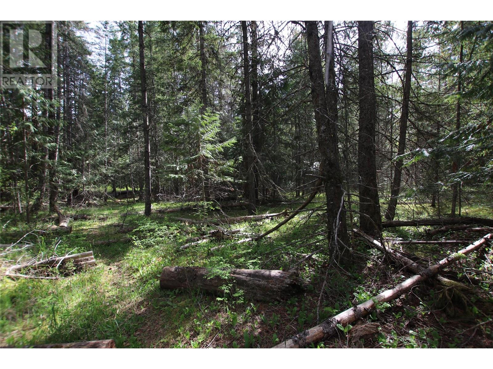 Lot A Burton Frontage Rd. South, Burton, British Columbia  V0G 1R0 - Photo 10 - 10346193
