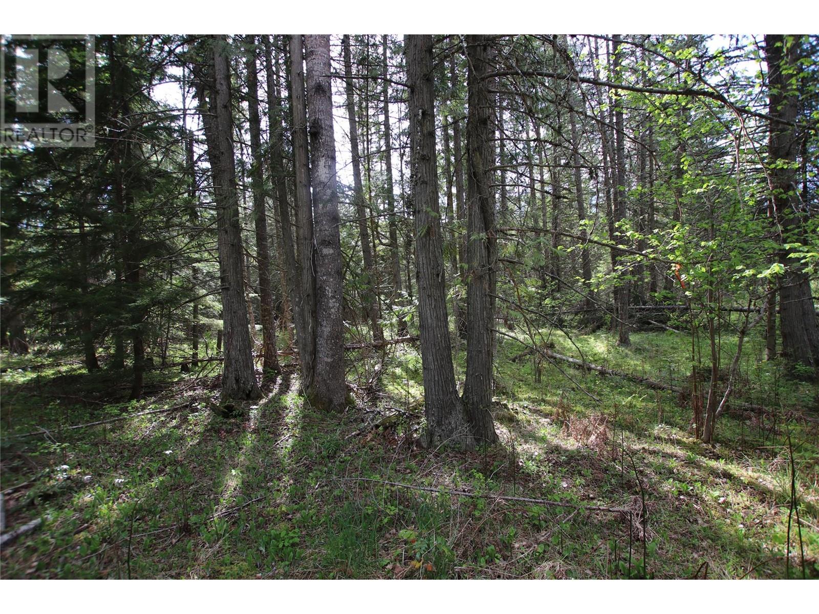 Lot A Burton Frontage Rd. South, Burton, British Columbia  V0G 1R0 - Photo 11 - 10346193