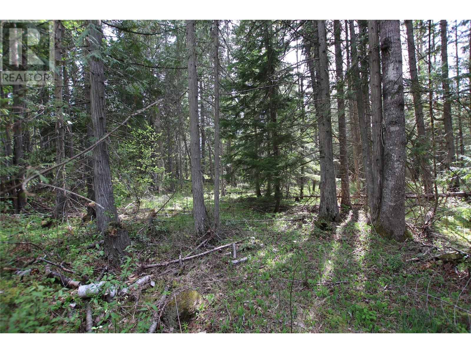 Lot A Burton Frontage Rd. South, Burton, British Columbia  V0G 1R0 - Photo 12 - 10346193