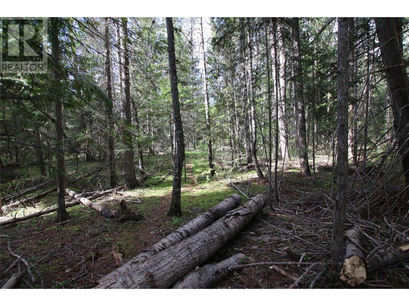 Lot A Burton Frontage Rd. South, Burton, British Columbia  V0G 1R0 - Photo 13 - 10346193