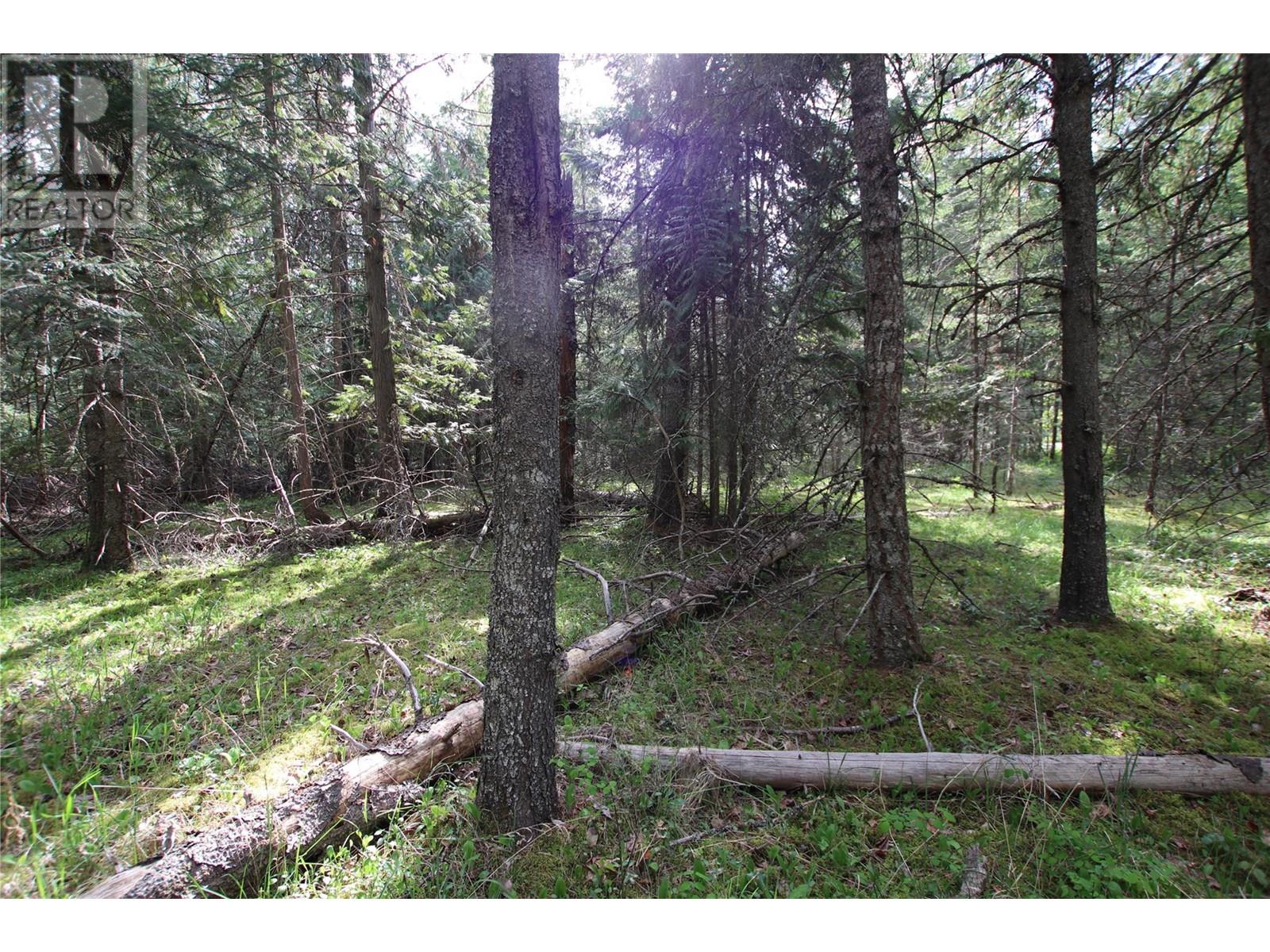 Lot A Burton Frontage Rd. South, Burton, British Columbia  V0G 1R0 - Photo 14 - 10346193