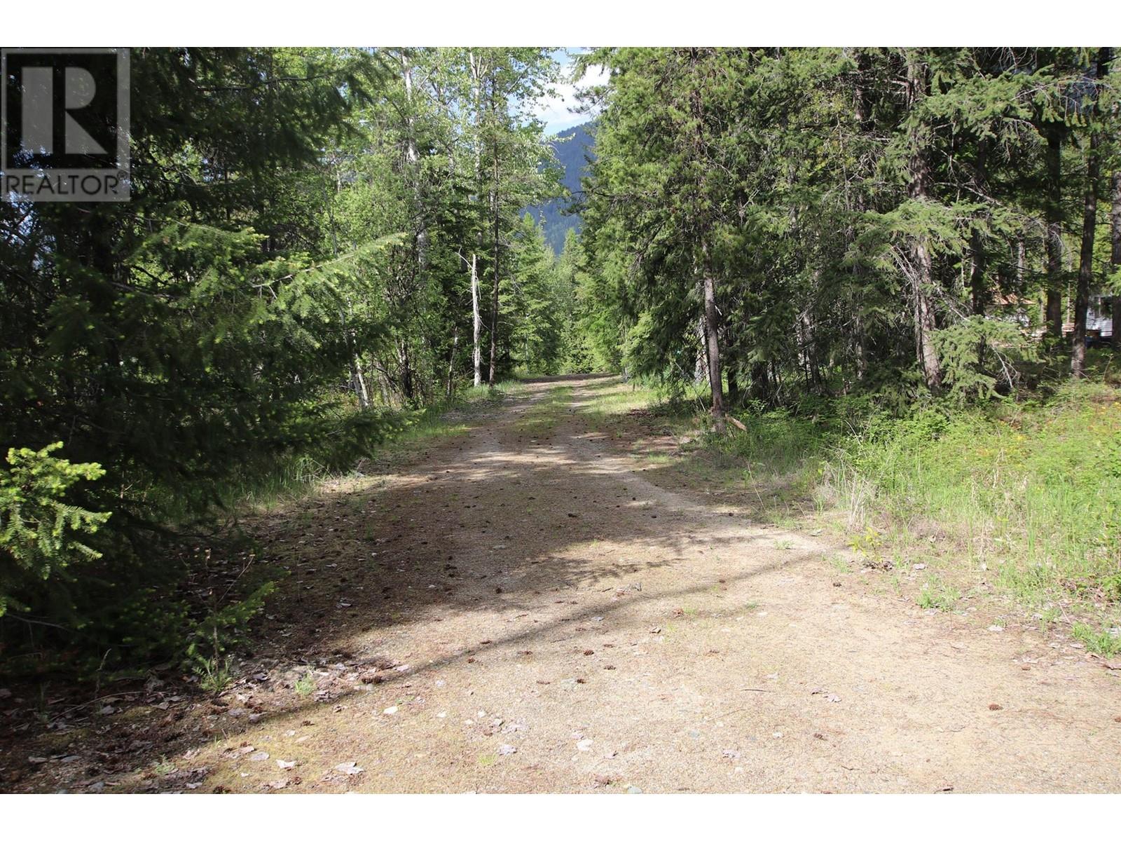 Lot A Burton Frontage Rd. South, Burton, British Columbia  V0G 1R0 - Photo 2 - 10346193