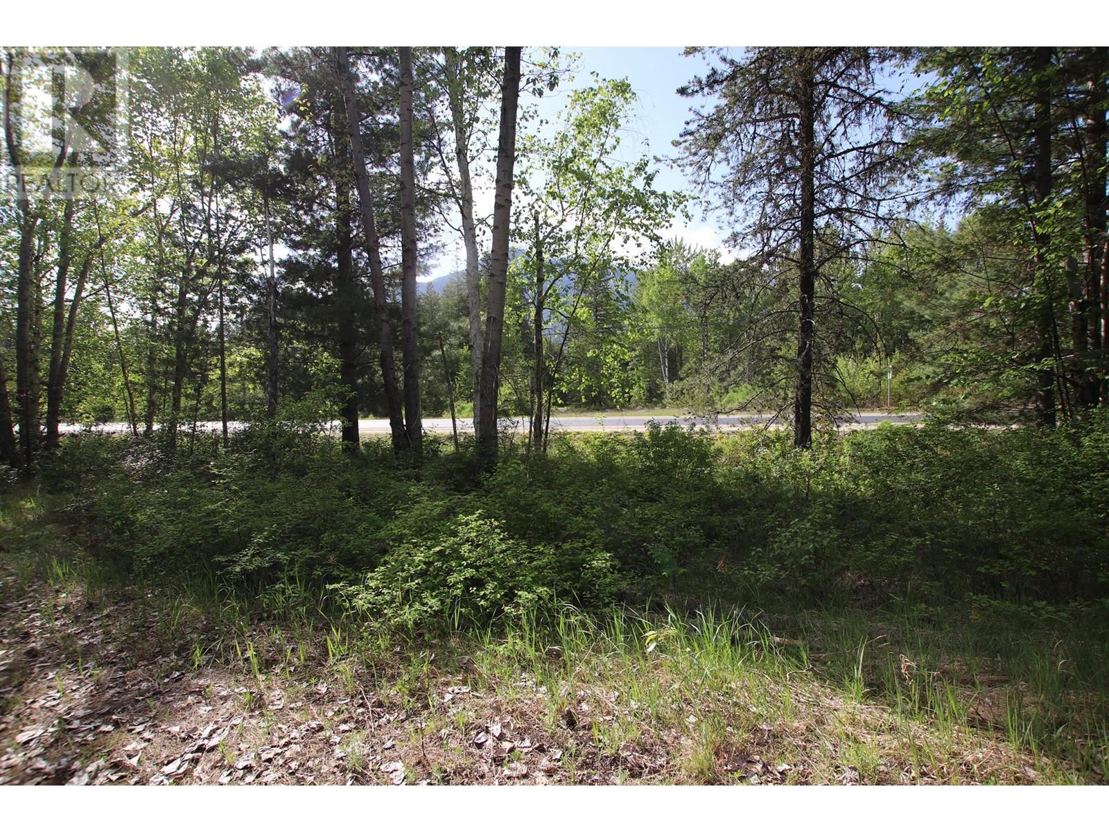 Lot A Burton Frontage Rd. South, Burton, British Columbia  V0G 1R0 - Photo 3 - 10346193