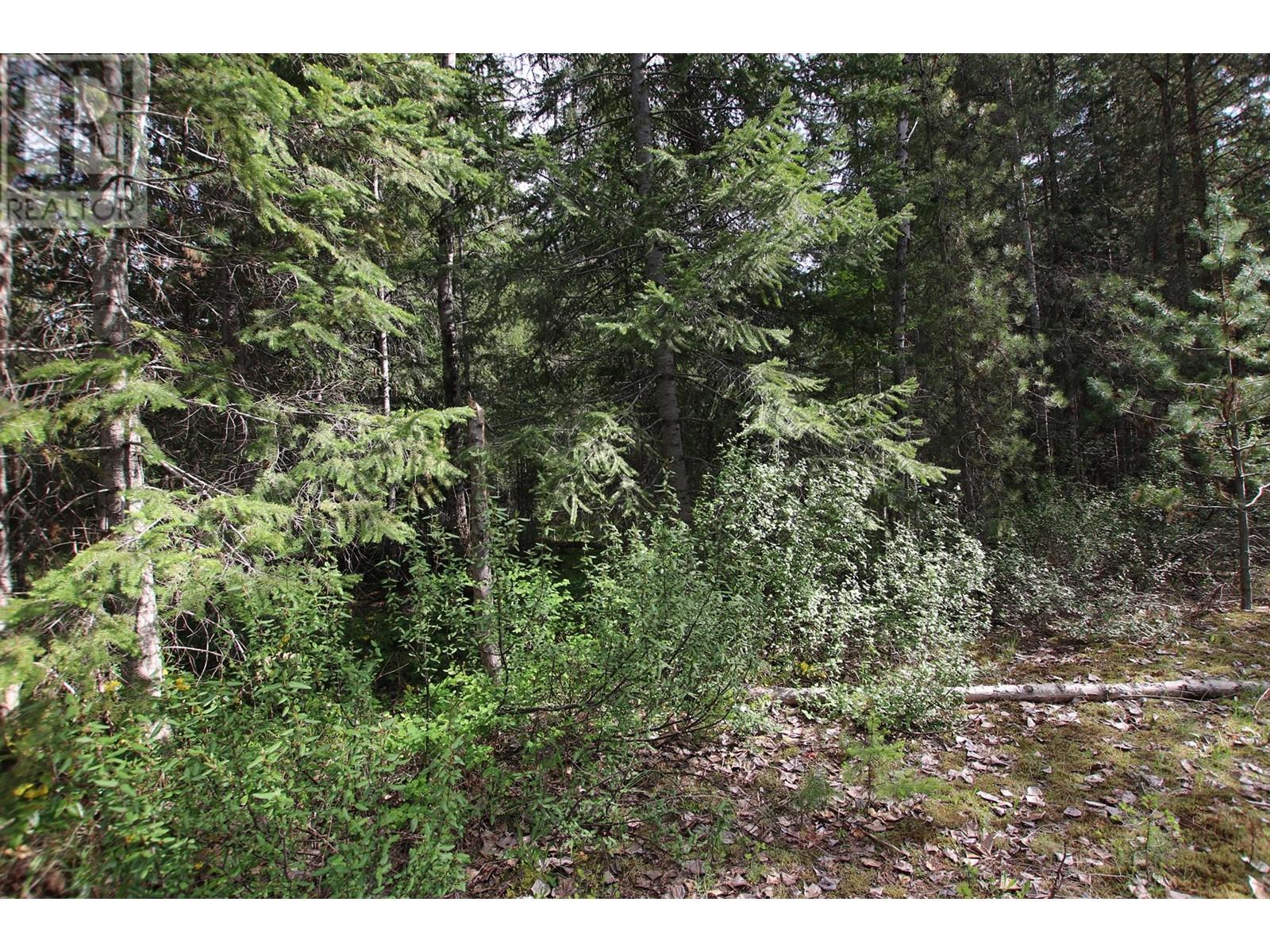 Lot A Burton Frontage Rd. South, Burton, British Columbia  V0G 1R0 - Photo 4 - 10346193