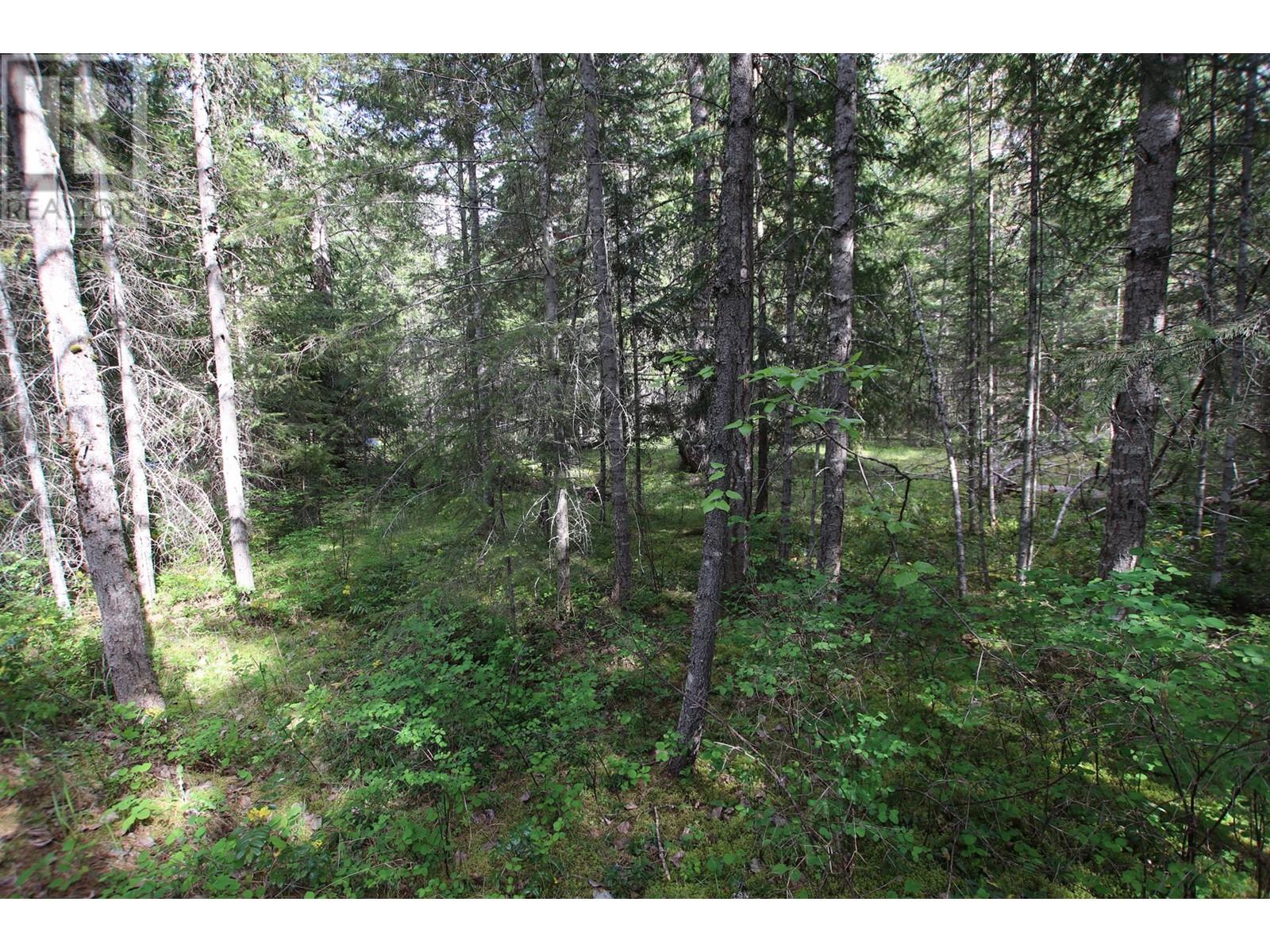 Lot A Burton Frontage Rd. South, Burton, British Columbia  V0G 1R0 - Photo 5 - 10346193