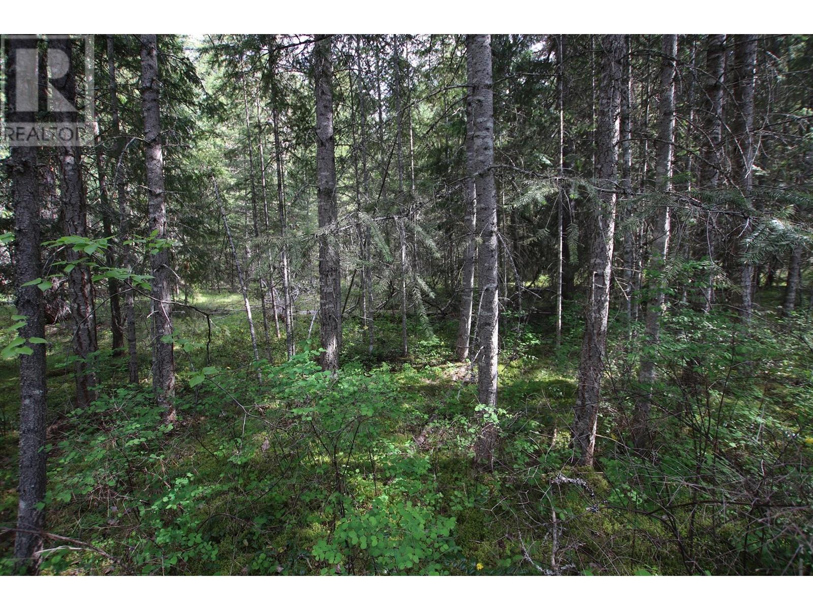 Lot A Burton Frontage Rd. South, Burton, British Columbia  V0G 1R0 - Photo 6 - 10346193
