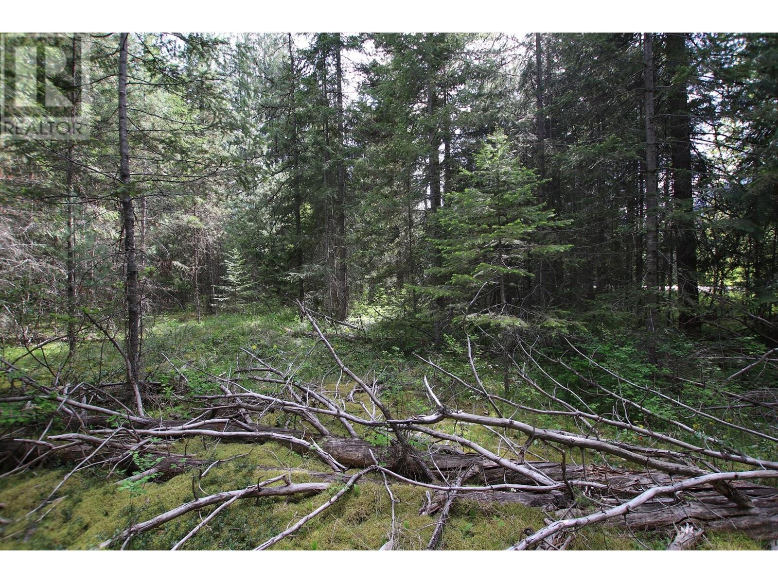 Lot A Burton Frontage Rd. South, Burton, British Columbia  V0G 1R0 - Photo 7 - 10346193
