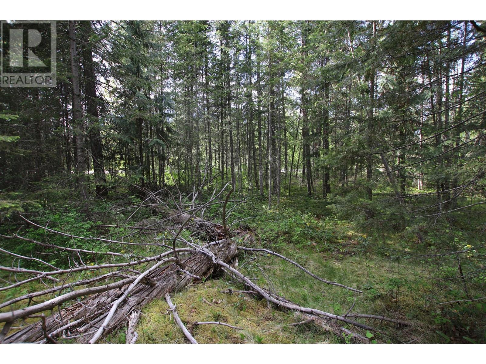 Lot A Burton Frontage Rd. South, Burton, British Columbia  V0G 1R0 - Photo 8 - 10346193