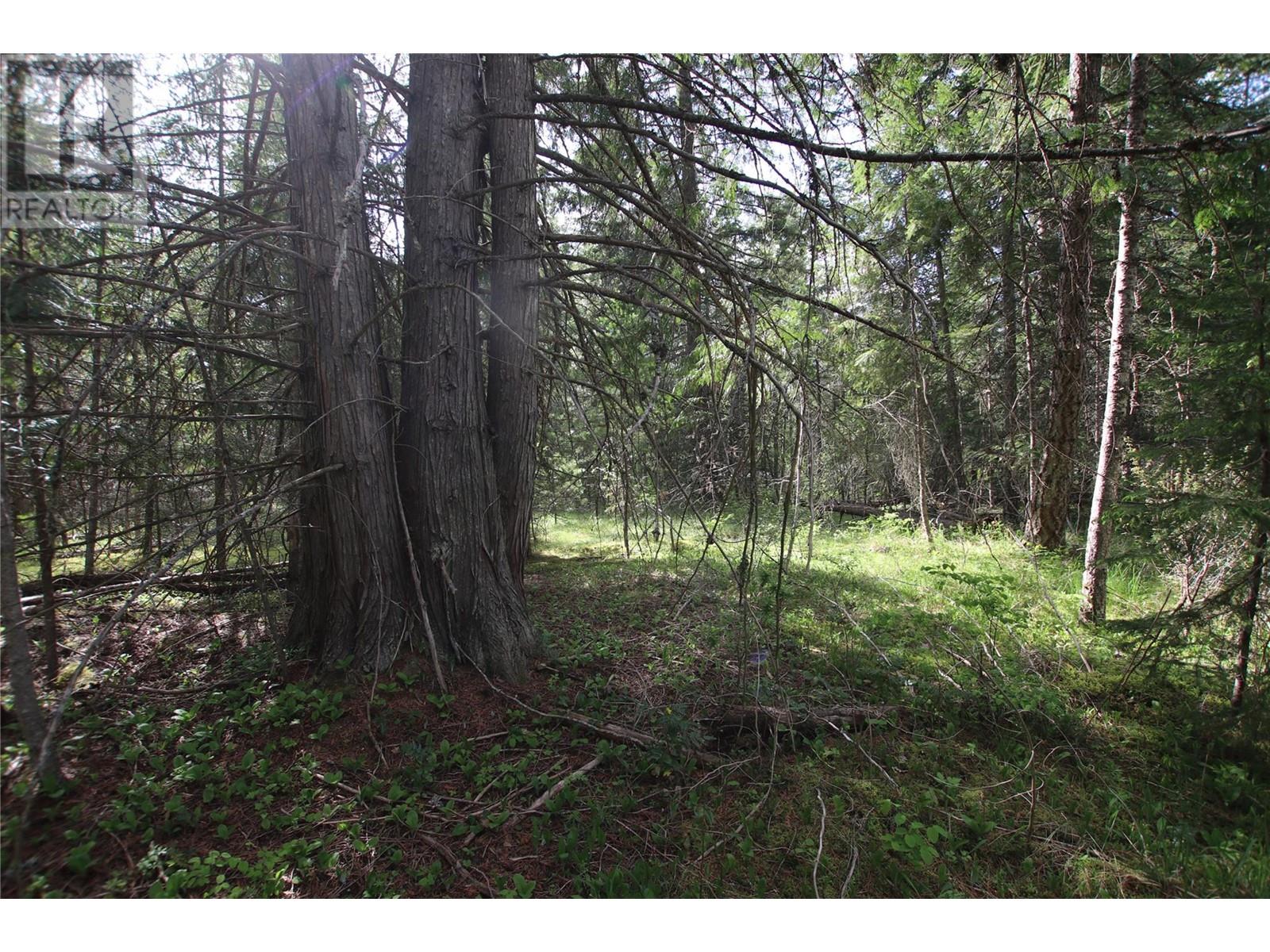 Lot A Burton Frontage Rd. South, Burton, British Columbia  V0G 1R0 - Photo 9 - 10346193