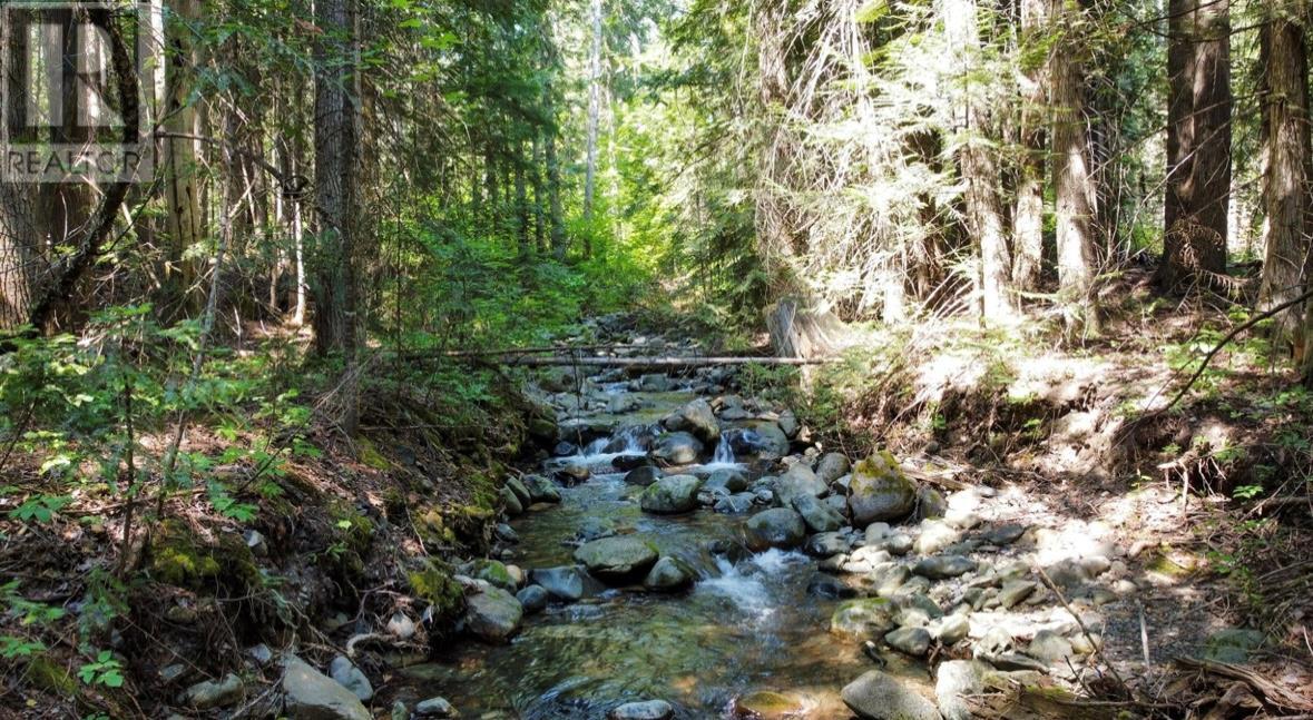 131 Clubine Mine Road, Ymir, British Columbia  V0G 2K0 - Photo 4 - 10346309