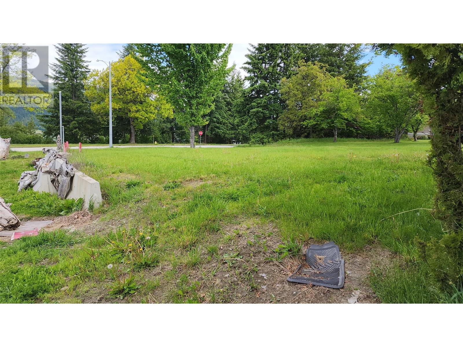 129 Oak Street, Fauquier, British Columbia  V0G 1K0 - Photo 12 - 10346072