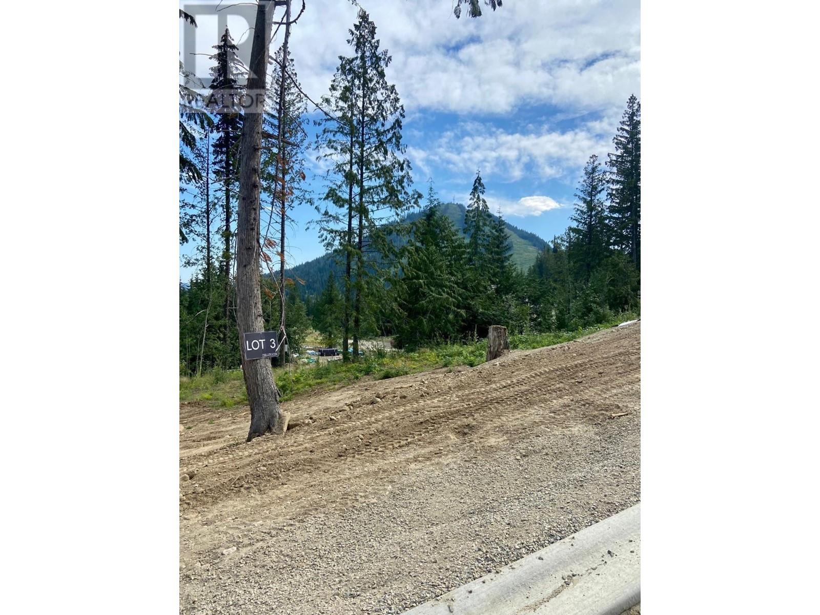 308 Ridge Road, Rossland, British Columbia  V0G 1Y0 - Photo 3 - 10346708