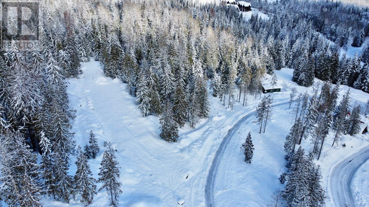 311 Ridge Road, Rossland, British Columbia  V0G 1Y0 - Photo 11 - 10346514