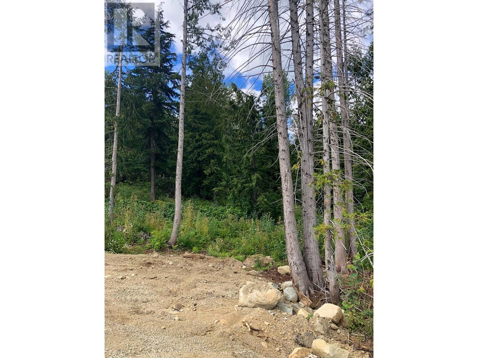 311 Ridge Road, Rossland, British Columbia  V0G 1Y0 - Photo 6 - 10346514