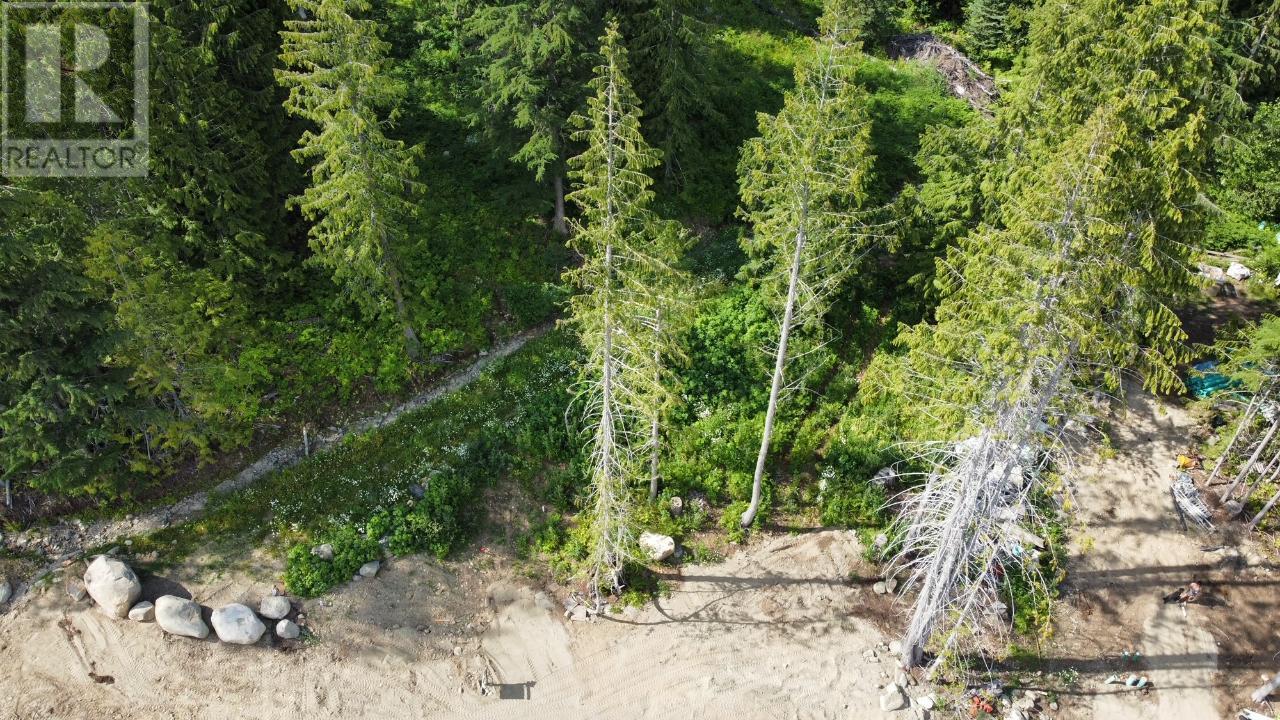 311 Ridge Road, Rossland, British Columbia  V0G 1Y0 - Photo 7 - 10346514