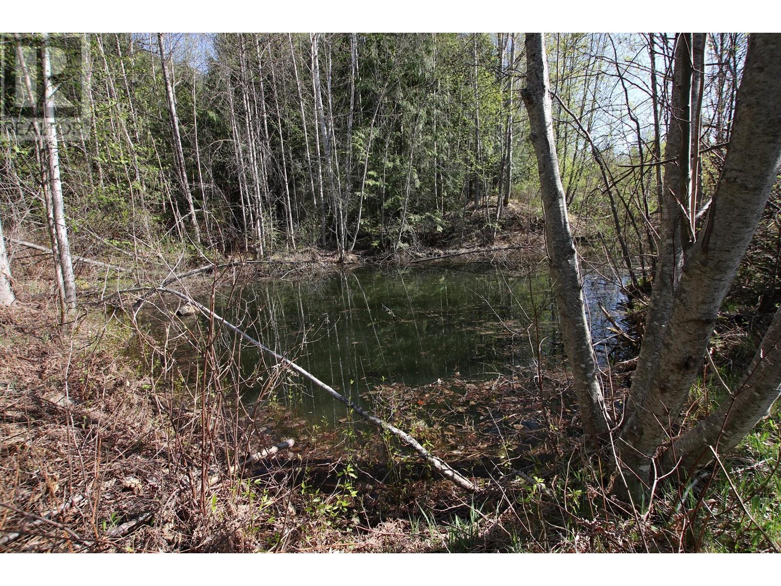 4265 Highway 6, Arrow Park, British Columbia  V0G 1R1 - Photo 3 - 10346894